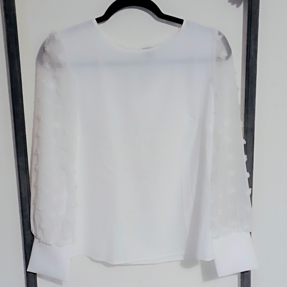 Solid Swiss Dot Bishop Sleeve Blouse
